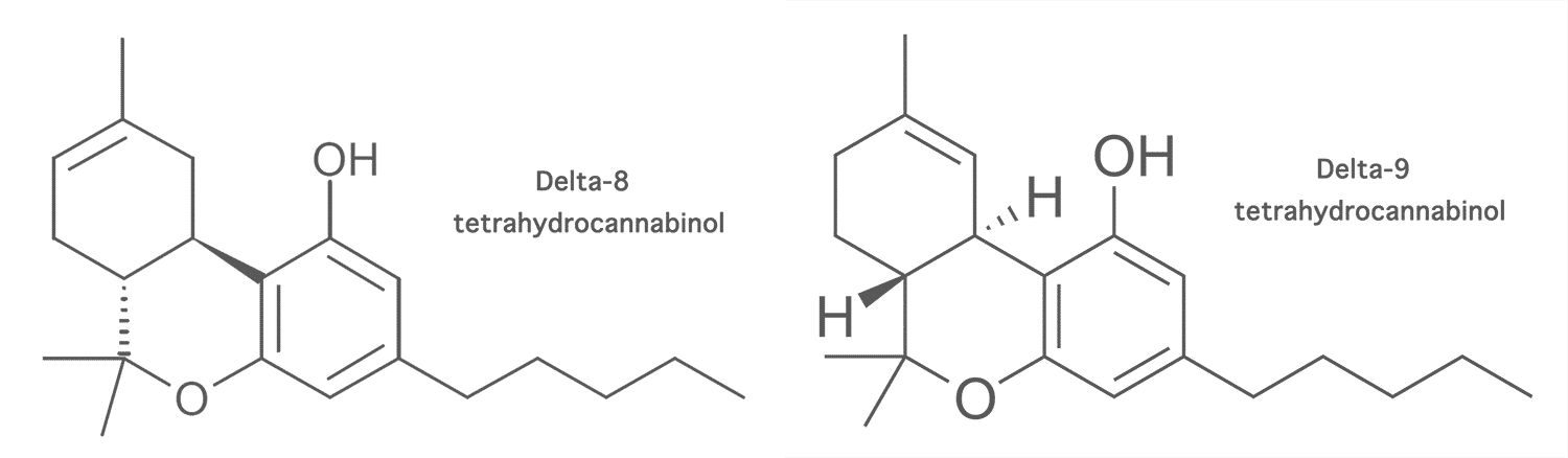 Delta 8 And Delta 9 Tetrahydrocannabinol